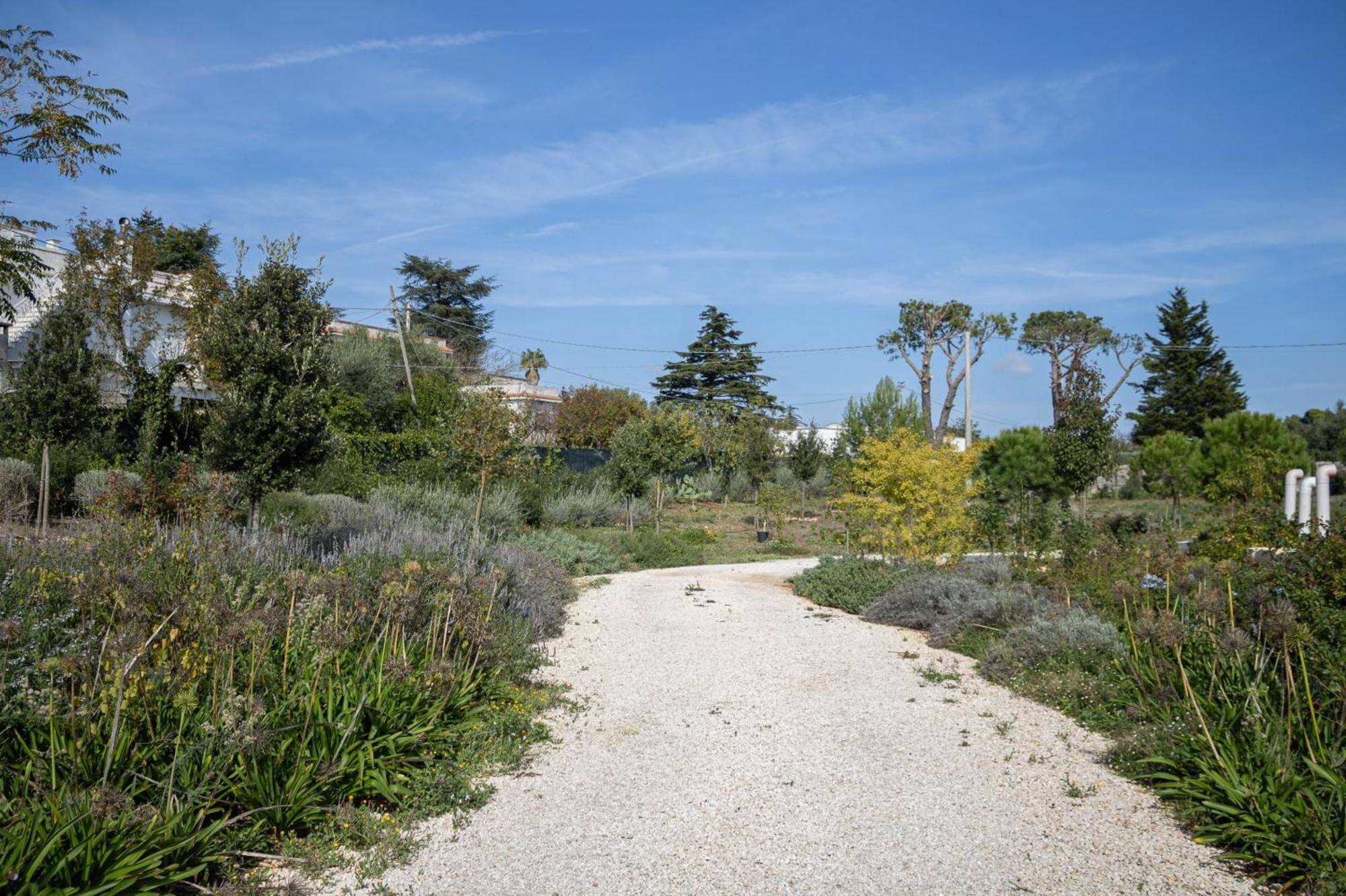 Villa Ada-Trulli Puglia Martina Franca Exteriör bild