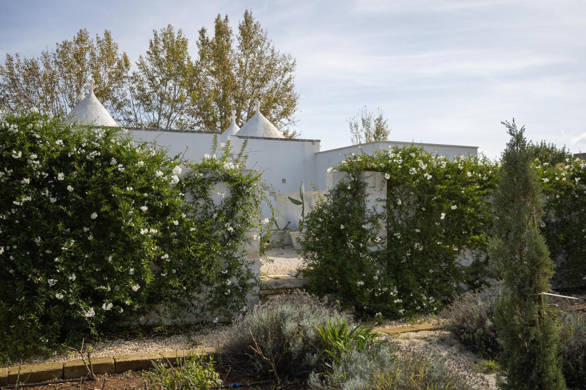 Villa Ada-Trulli Puglia Martina Franca Exteriör bild