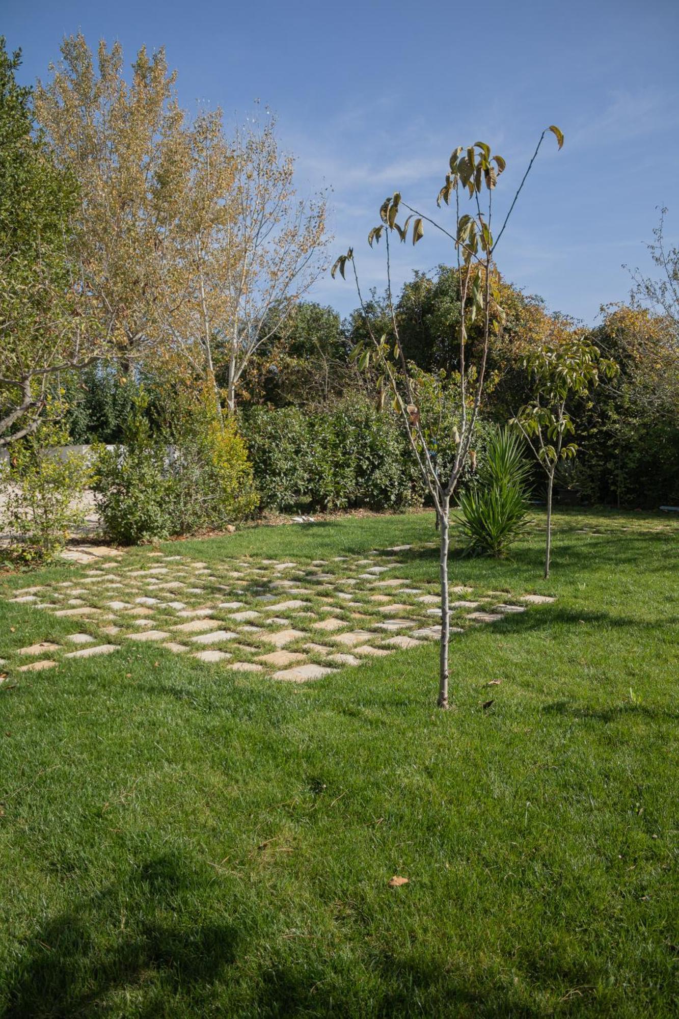 Villa Ada-Trulli Puglia Martina Franca Exteriör bild